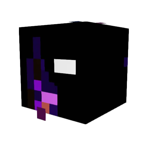 Salmiakki_addict Minecraft avatar head, 3D render