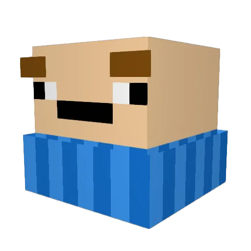 Salmon420 Minecraft avatar head, 3D render