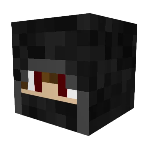 SalmonBammin Minecraft avatar head, 3D render