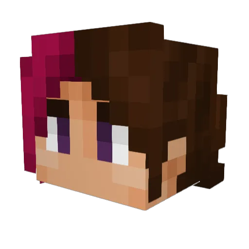 SalmonCoral Minecraft avatar head, 3D render