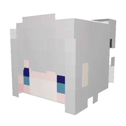 SalmonDaughter Minecraft avatar head, 3D render