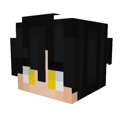 SalmonDlite Minecraft avatar head, 3D render