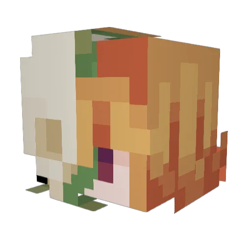 SalmonEarth755 Minecraft avatar head, 3D render
