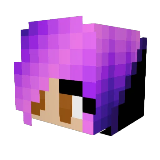 SalmonLi_02 Minecraft avatar head, 3D render