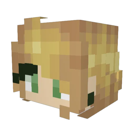 SalmonMax Minecraft avatar head, 3D render