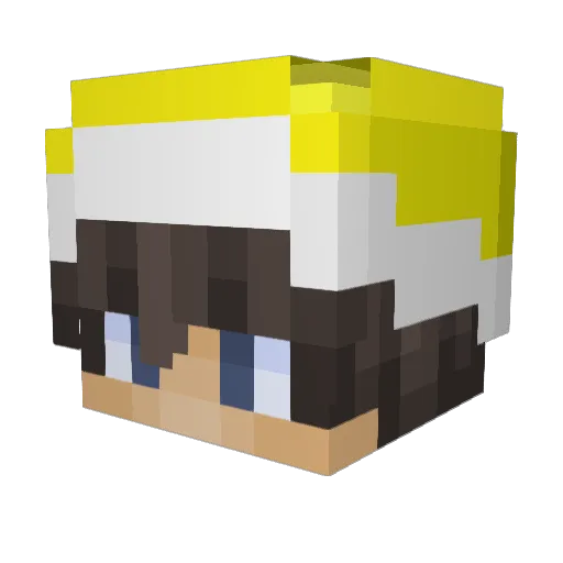 SalmonMetal597 Minecraft avatar head, 3D render