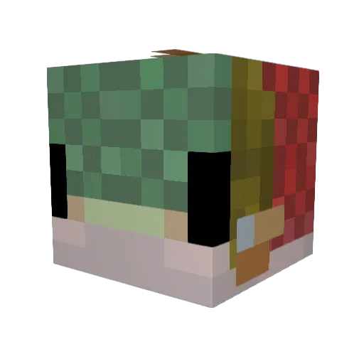 SalmonMoth90026 Minecraft avatar head, 3D render