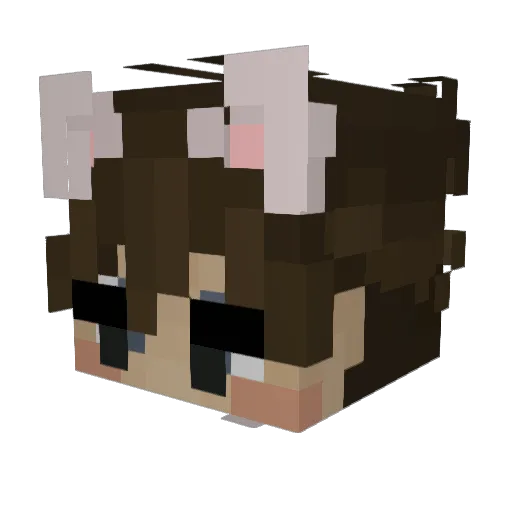 SalmonPumpkin83 Minecraft avatar head, 3D render