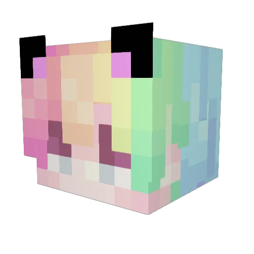 SalmonSushiBoy Minecraft avatar head, 3D render