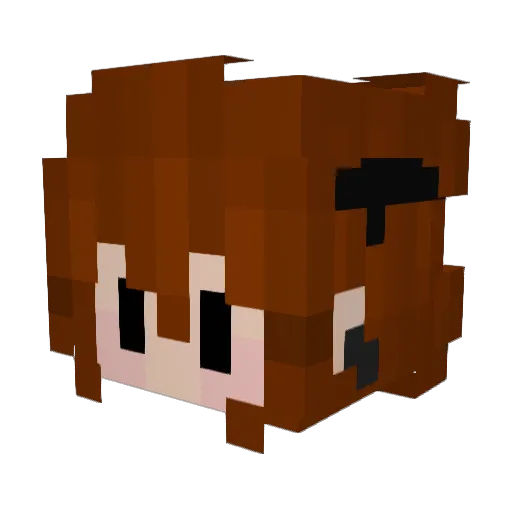 SalmonTeaV Minecraft avatar head, 3D render