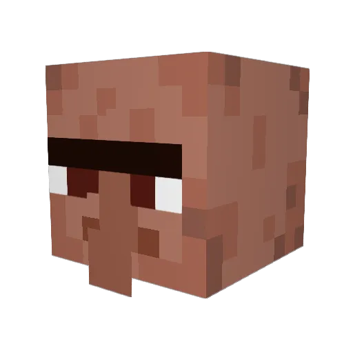SalmonTurtle293 Minecraft avatar head, 3D render