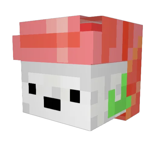 Salmon_0824 Minecraft avatar head, 3D render