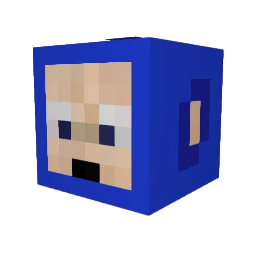 Salmon_III Minecraft avatar head, 3D render