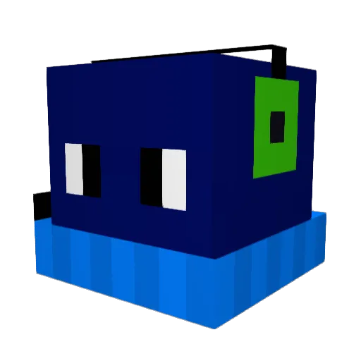 Salmon_playz Minecraft avatar head, 3D render