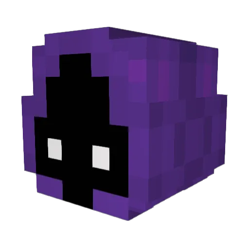 Salmondac Minecraft avatar head, 3D render