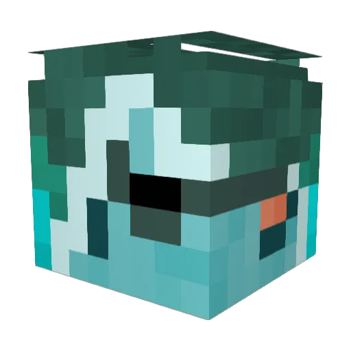SalmonidJester Minecraft avatar head, 3D render