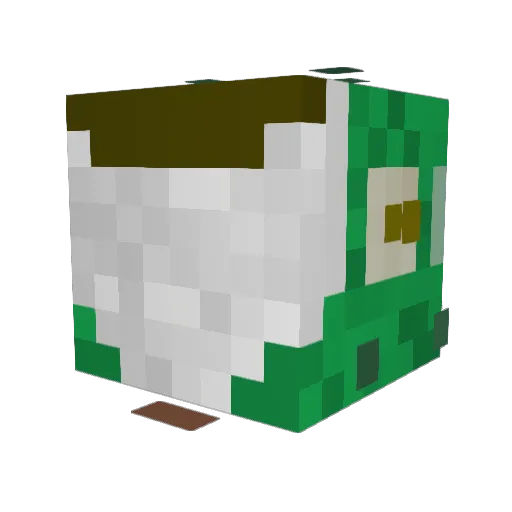SalmonofWisdom Minecraft avatar head, 3D render