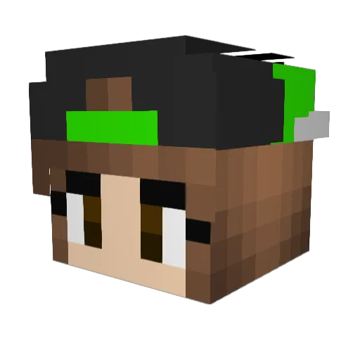 Salmonsito_06 Minecraft avatar head, 3D render