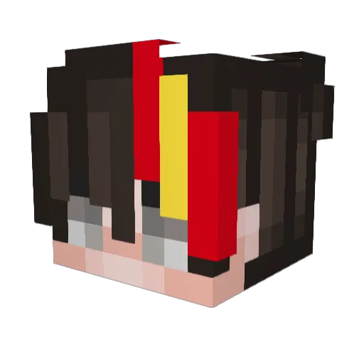 Salmorejo00 Minecraft avatar head, 3D render