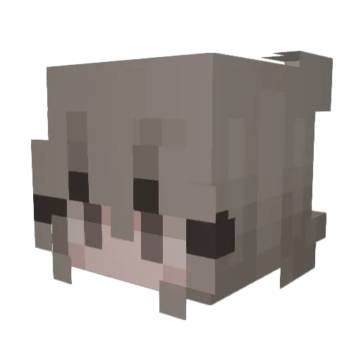 Salmu_ Minecraft avatar head, 3D render