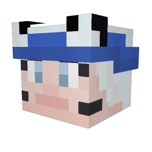 Salmy_Kanit Minecraft avatar head, 3D render
