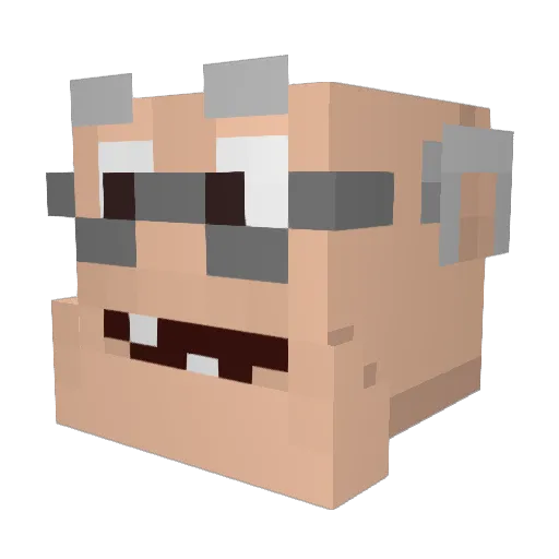 SaloGrief Minecraft avatar head, 3D render