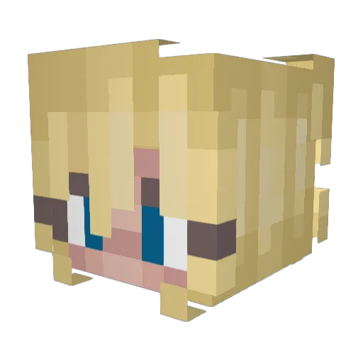 SaloNomNom Minecraft avatar head, 3D render