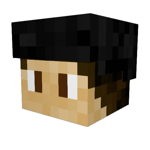 Salo_Epic_Gamer Minecraft avatar head, 3D render