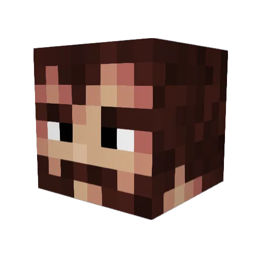Saloarian Minecraft avatar head, 3D render