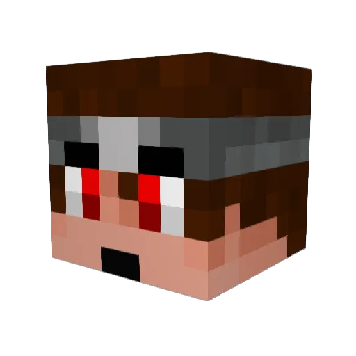 Salocyn Minecraft avatar head, 3D render