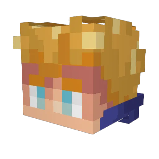 Salokin2_2 Minecraft avatar head, 3D render