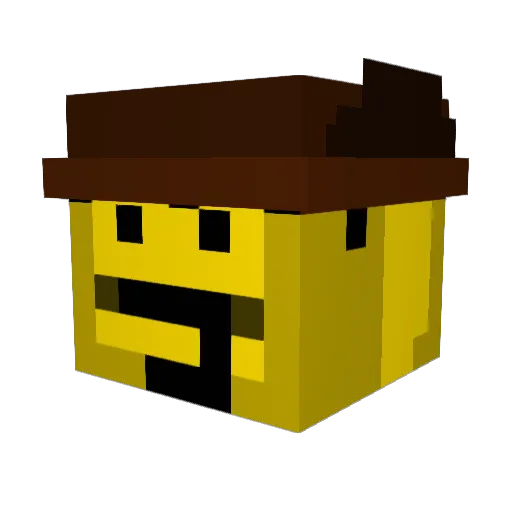 Salomon123 Minecraft avatar head, 3D render