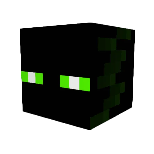 SalomonPL Minecraft avatar head, 3D render