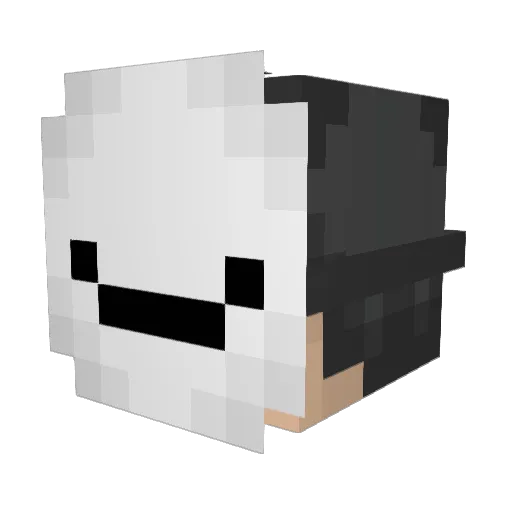Salosinz Minecraft avatar head, 3D render
