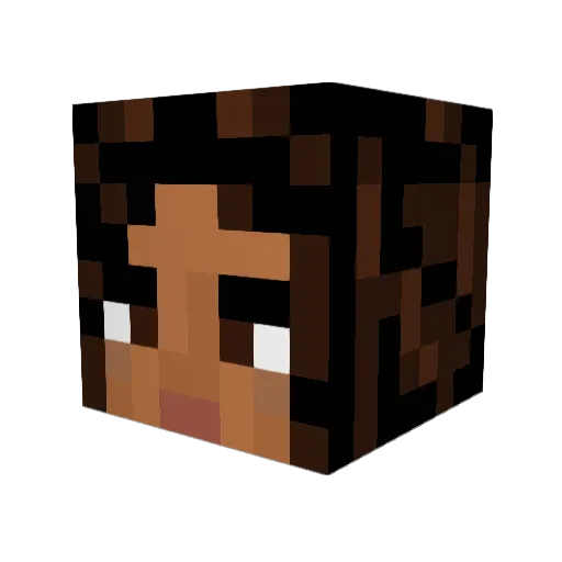 SalsNightmare Minecraft avatar head, 3D render