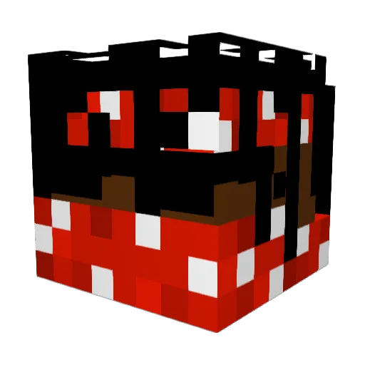 SalsaBands Minecraft avatar head, 3D render
