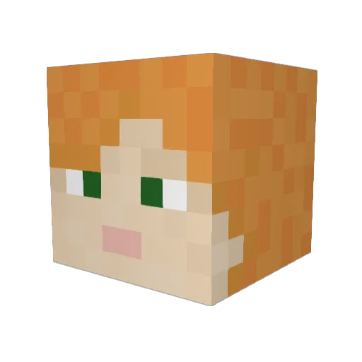 Salsa_Slinger Minecraft avatar head, 3D render