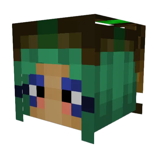 Salsameter Minecraft avatar head, 3D render