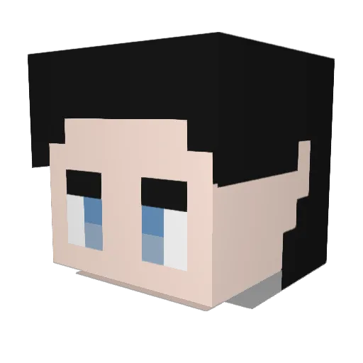 Salsasalsi Minecraft avatar head, 3D render