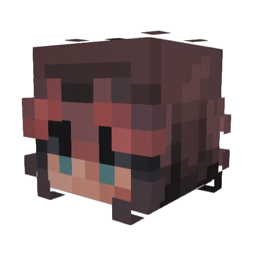 Salssalsa Minecraft avatar head, 3D render