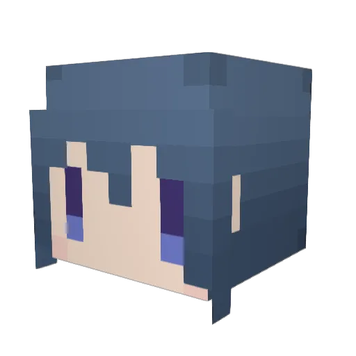 Salt0519 Minecraft avatar head, 3D render