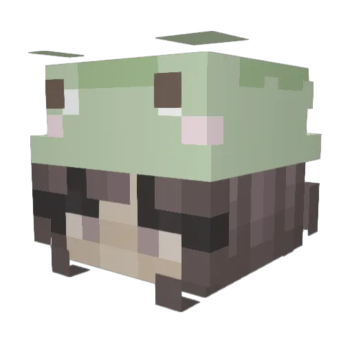Salt20 Minecraft avatar head, 3D render