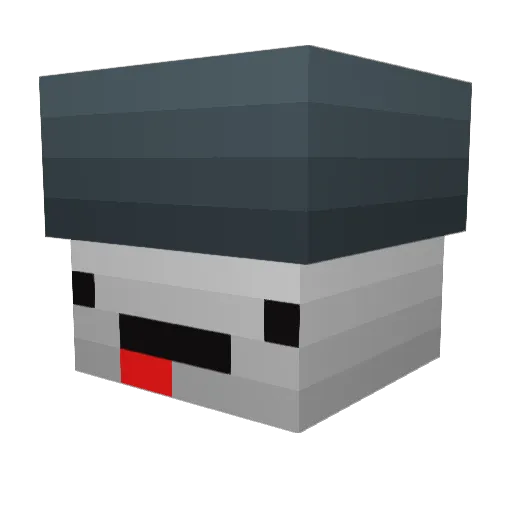 Salt881 Minecraft avatar head, 3D render