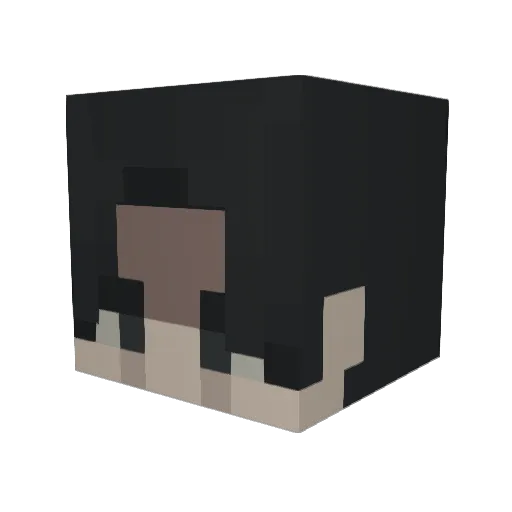 SaltEater08 Minecraft avatar head, 3D render