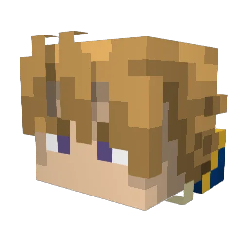 SaltF1sh2310 Minecraft avatar head, 3D render