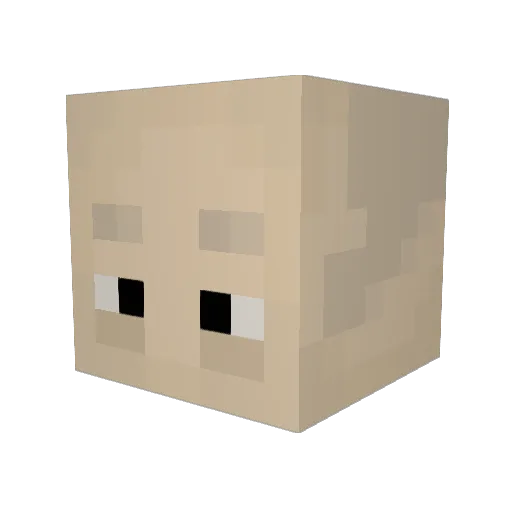 SaltHerring Minecraft avatar head, 3D render