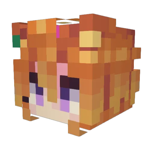 SaltLazer Minecraft avatar head, 3D render