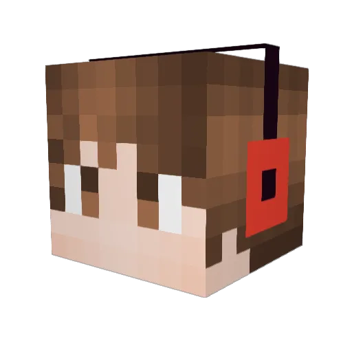 SaltOfTheFlame Minecraft avatar head, 3D render