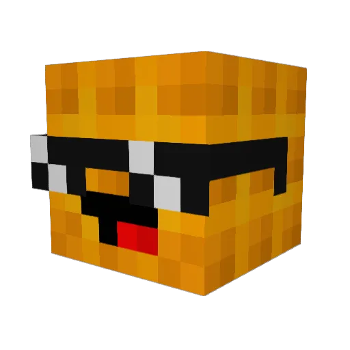 SaltSoul3 Minecraft avatar head, 3D render