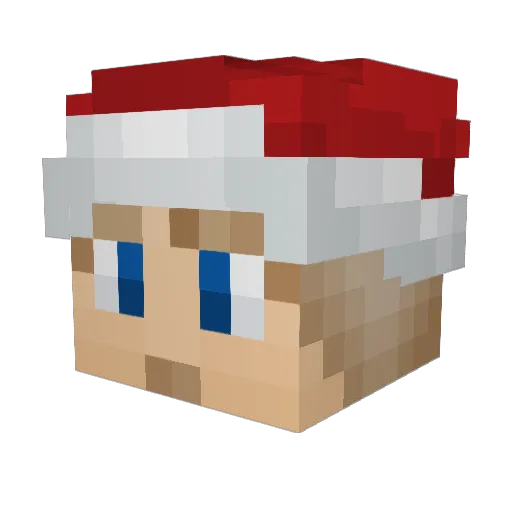 Salt_1705 Minecraft avatar head, 3D render